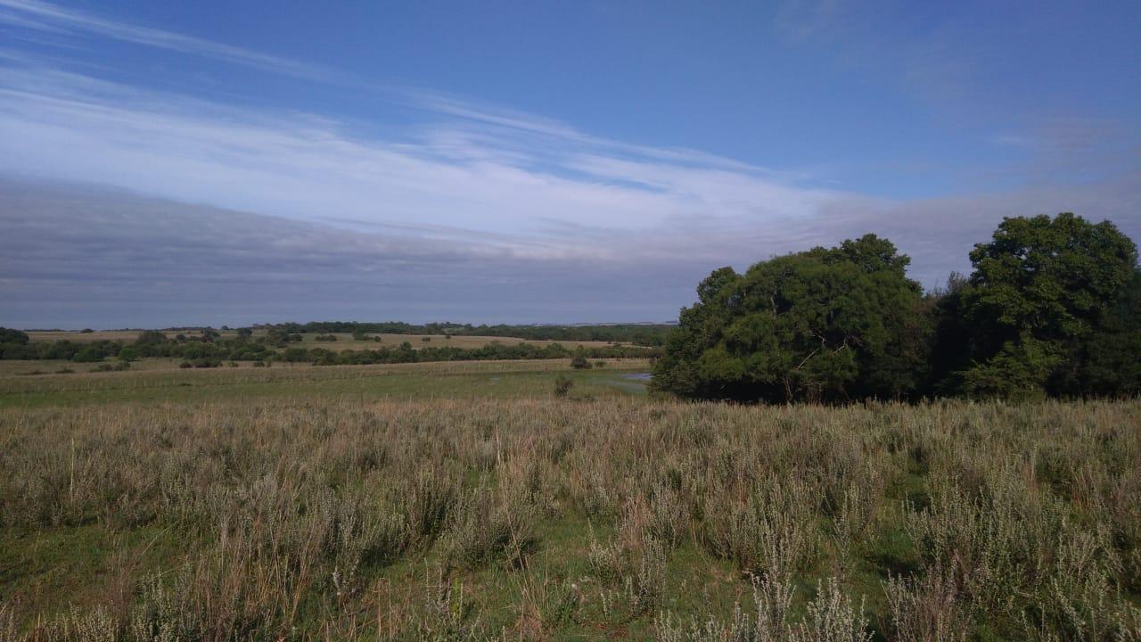 Fazenda à venda, 2214m² - Foto 35