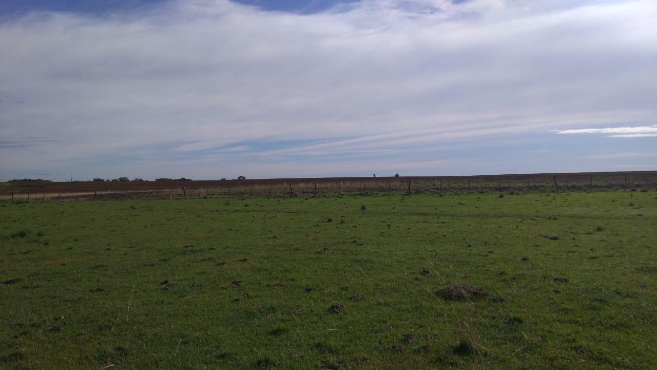 Fazenda à venda, 2214m² - Foto 44