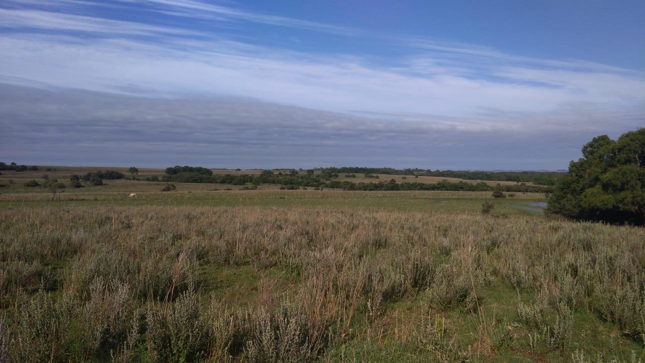 Fazenda à venda, 2214m² - Foto 40