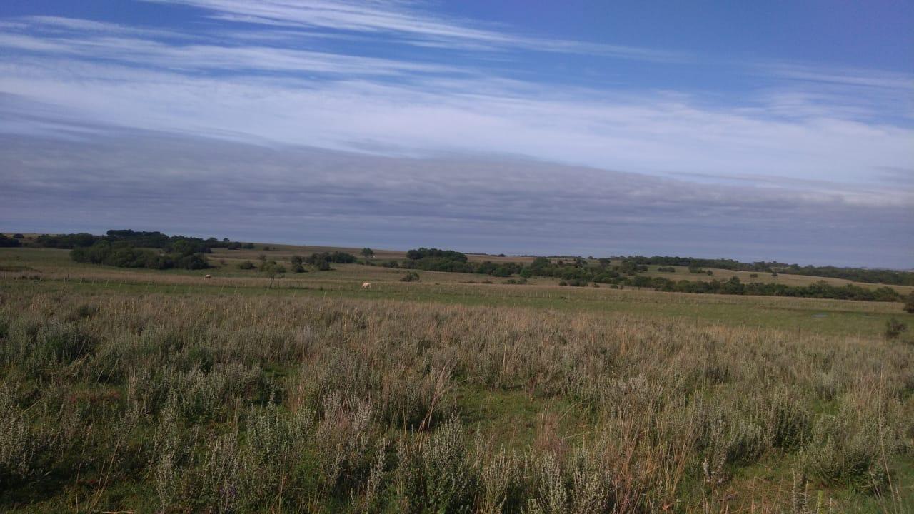Fazenda à venda, 2214m² - Foto 39