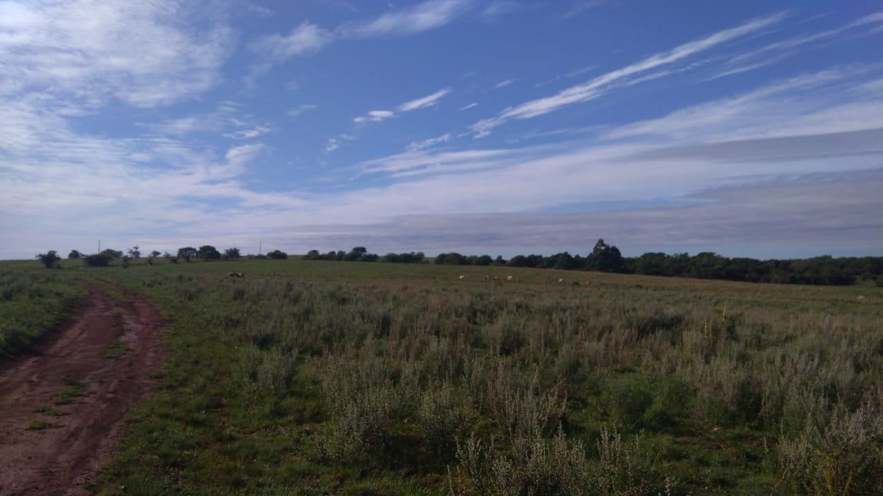 Fazenda à venda, 2214m² - Foto 43