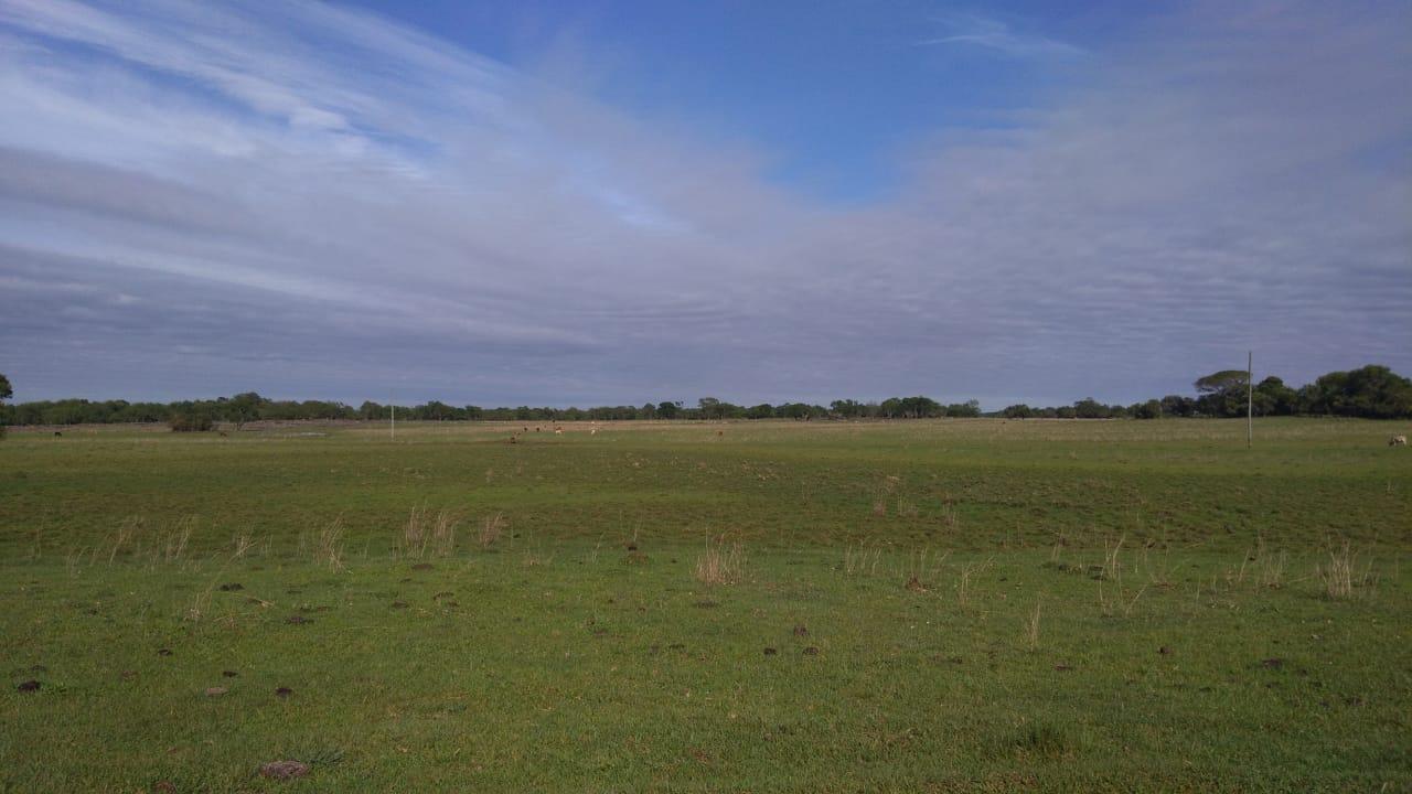 Fazenda à venda, 2214m² - Foto 42