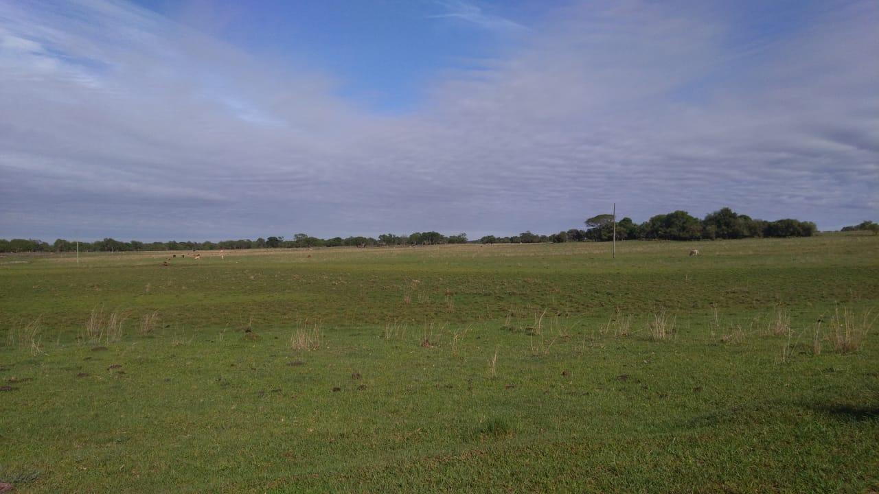 Fazenda à venda, 2214m² - Foto 45