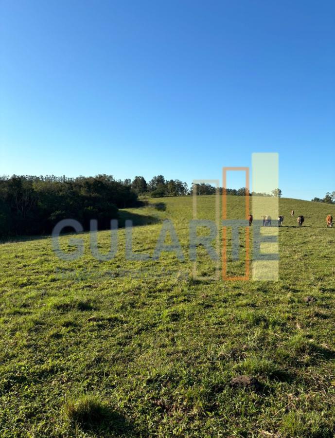 Fazenda à venda, 90m² - Foto 2