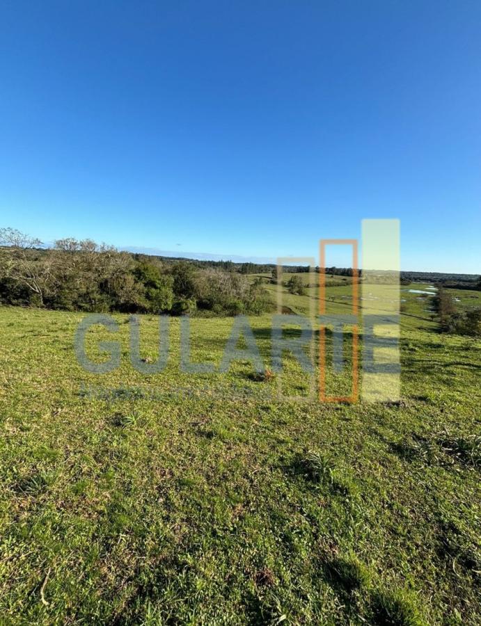 Fazenda à venda, 90m² - Foto 5