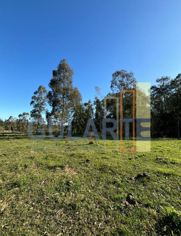 Fazenda à venda, 90m² - Foto 7