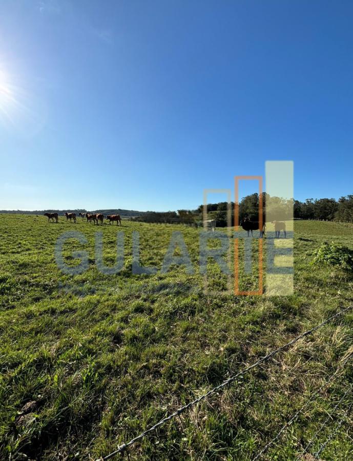 Fazenda à venda, 90m² - Foto 6