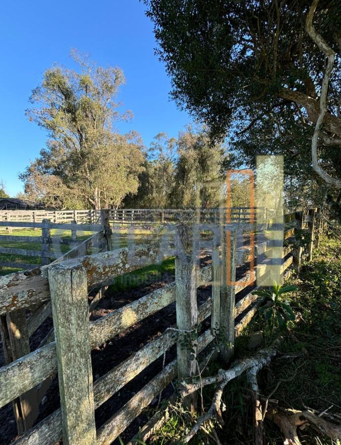 Fazenda à venda, 90m² - Foto 14