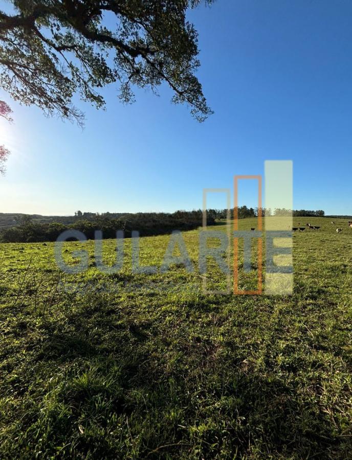Fazenda à venda, 90m² - Foto 18
