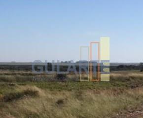 Fazenda, 611 hectares - Foto 5