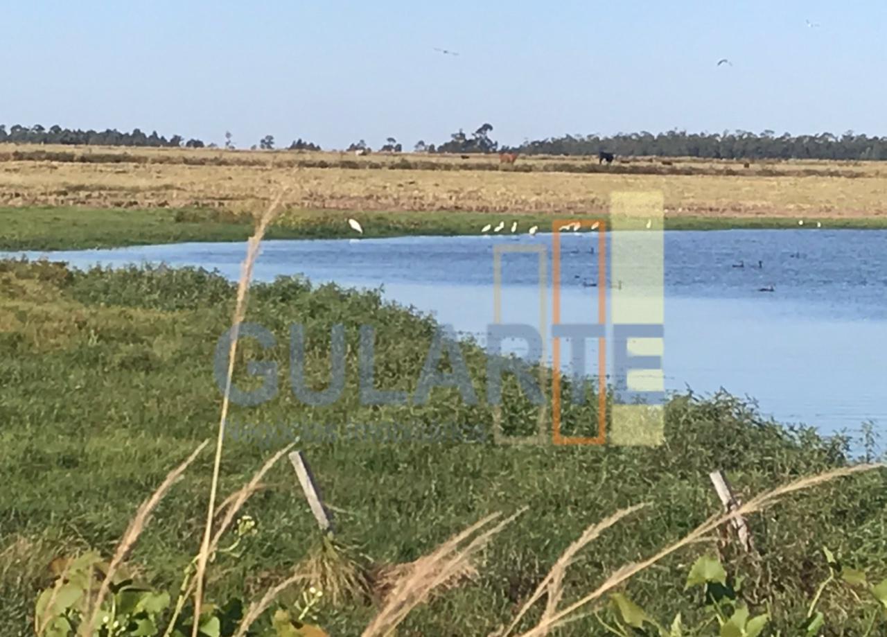 Fazenda, 611 hectares - Foto 8