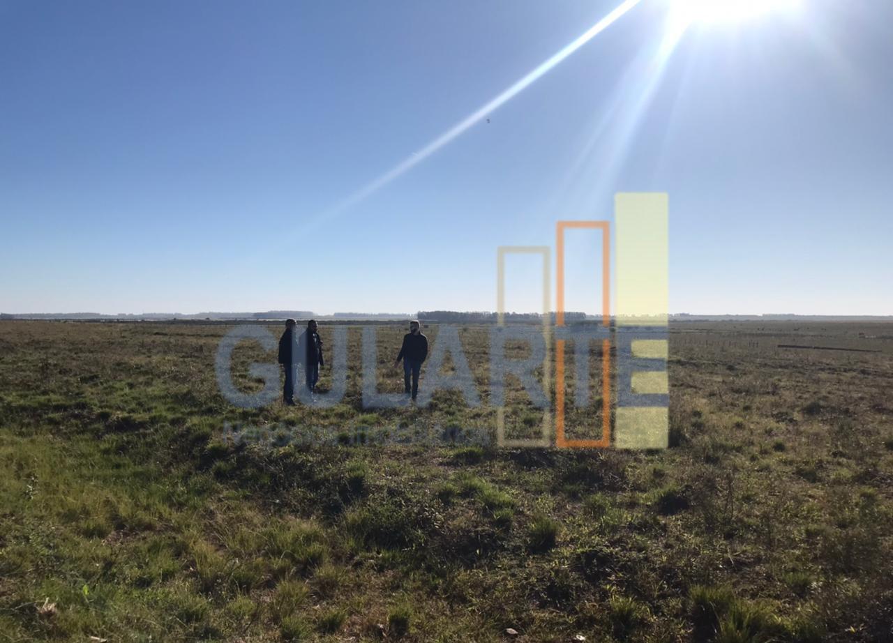 Fazenda, 611 hectares - Foto 6