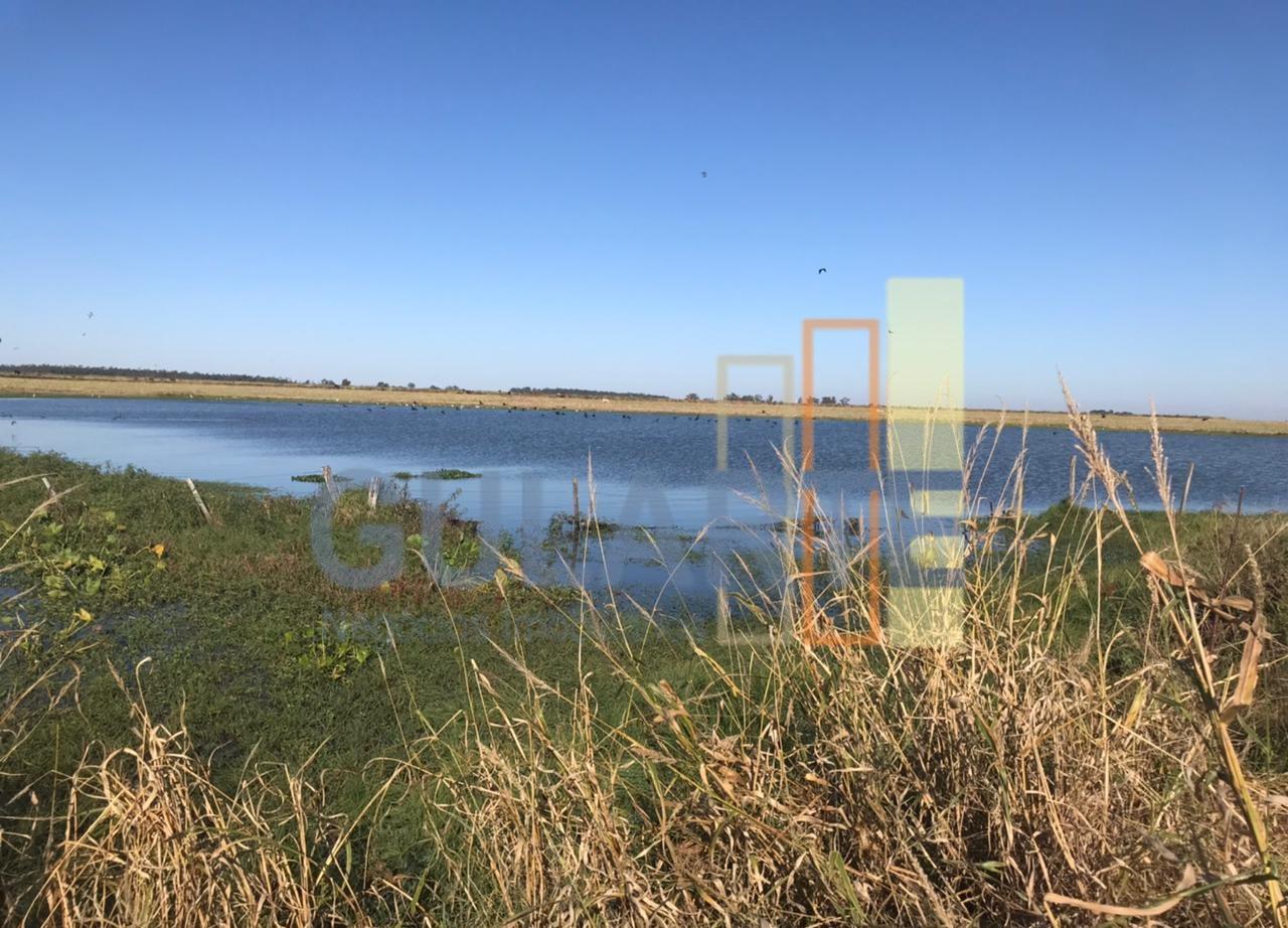 Fazenda, 611 hectares - Foto 7