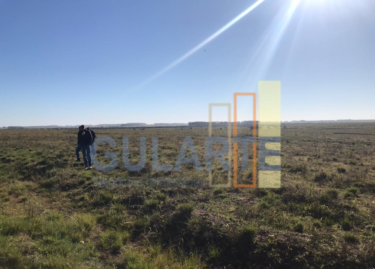 Fazenda, 611 hectares - Foto 12