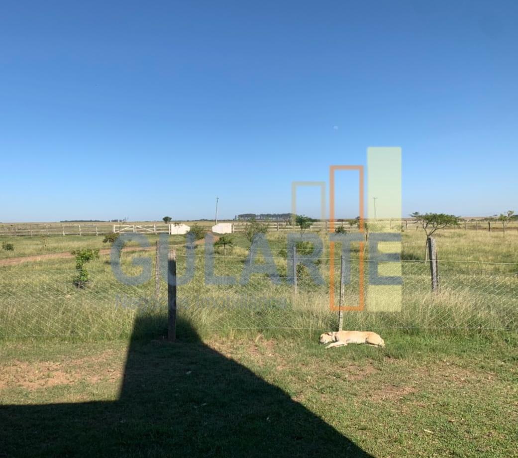 Fazenda, 611 hectares - Foto 9