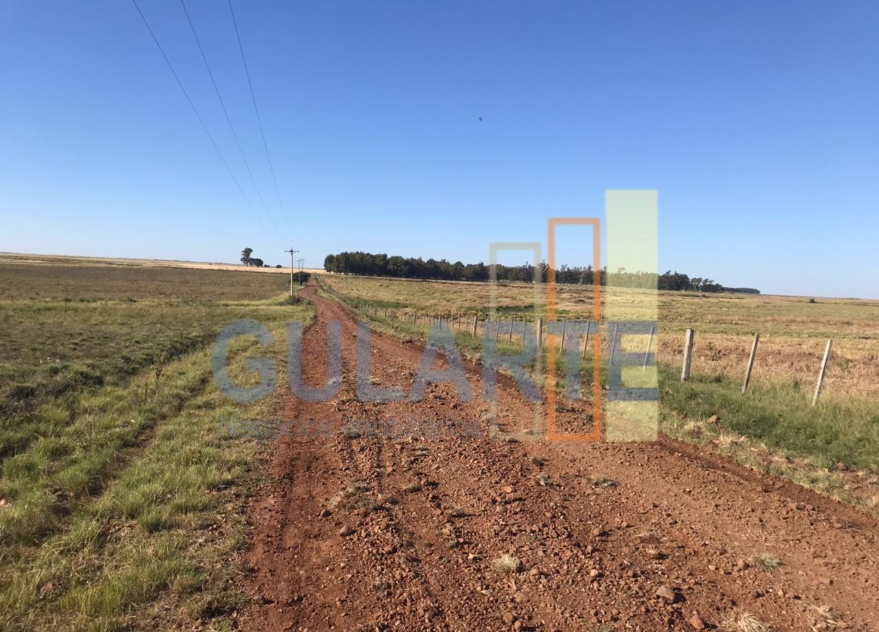 Fazenda, 611 hectares - Foto 11