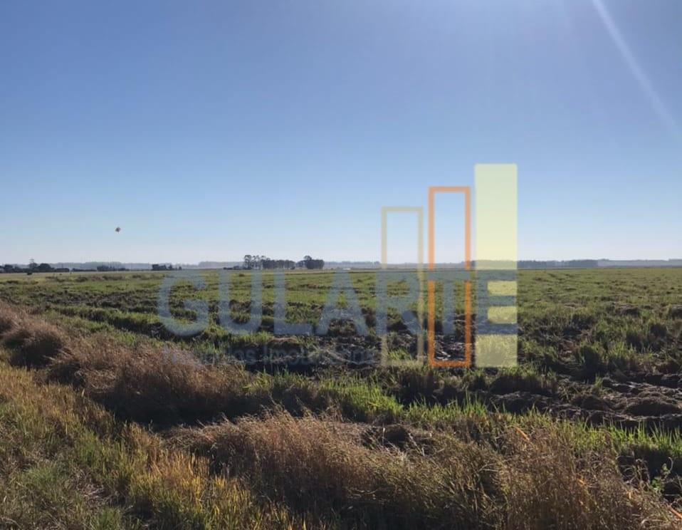 Fazenda, 611 hectares - Foto 10