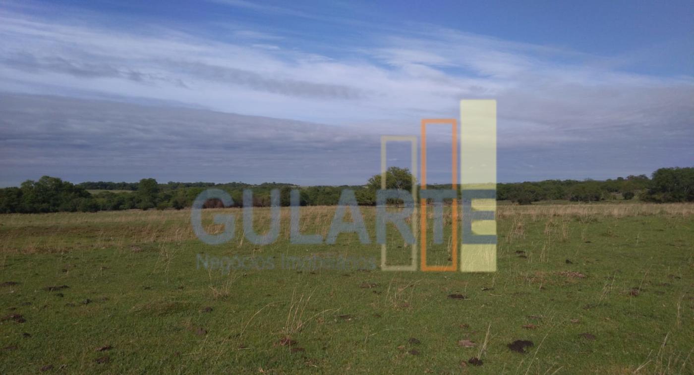 Fazenda, 611 hectares - Foto 15