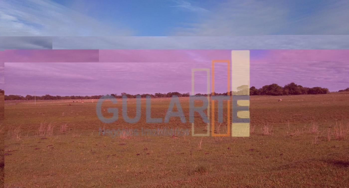 Fazenda, 611 hectares - Foto 13