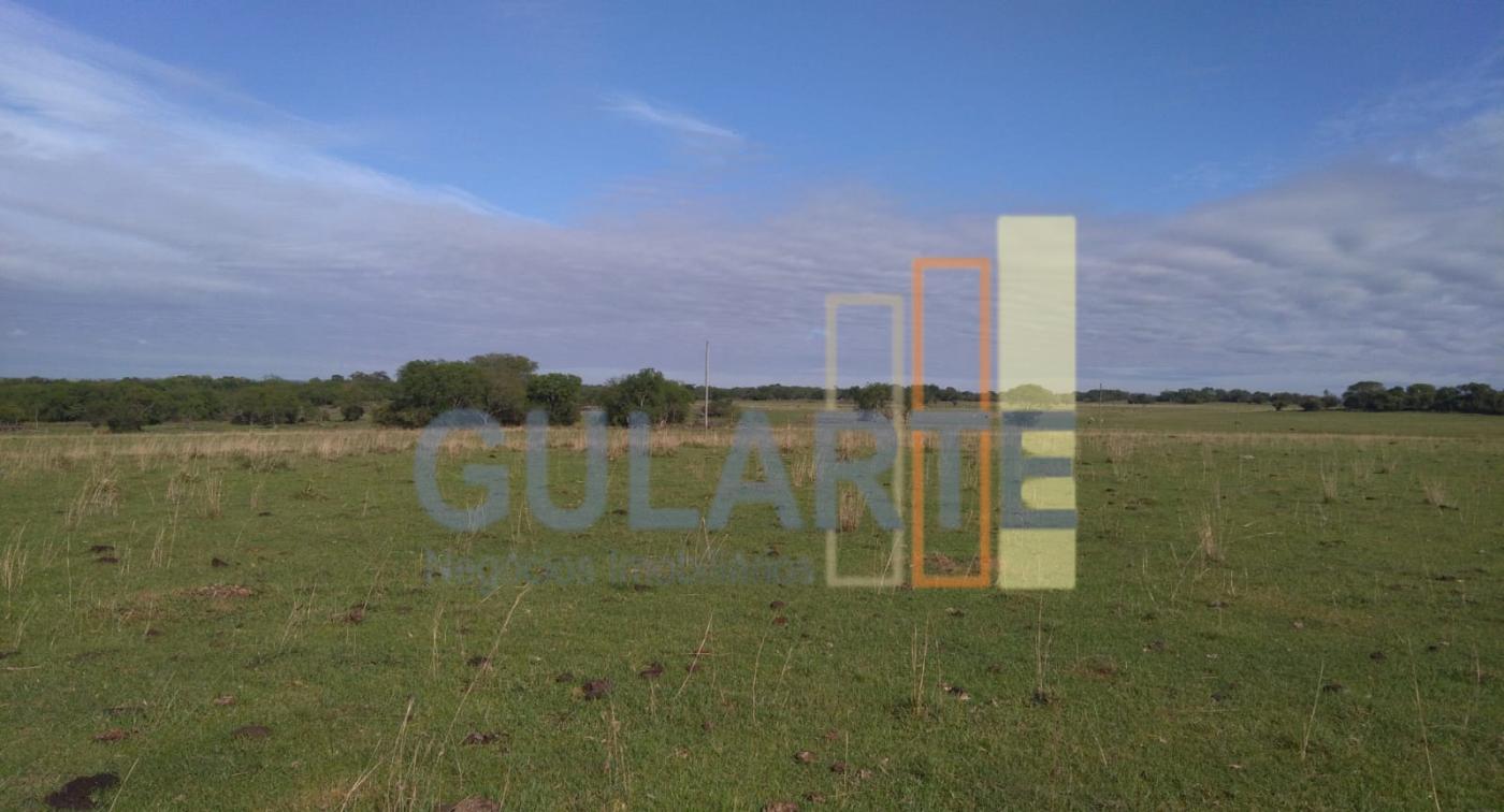 Fazenda, 611 hectares - Foto 14