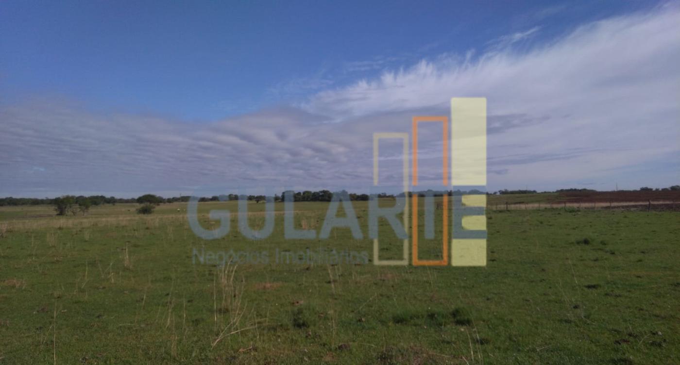 Fazenda, 611 hectares - Foto 17