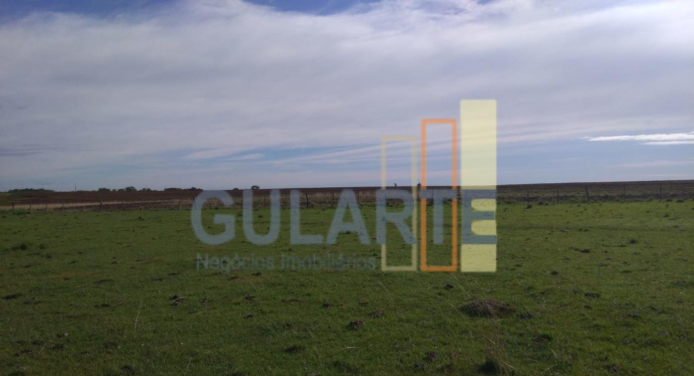 Fazenda, 611 hectares - Foto 16