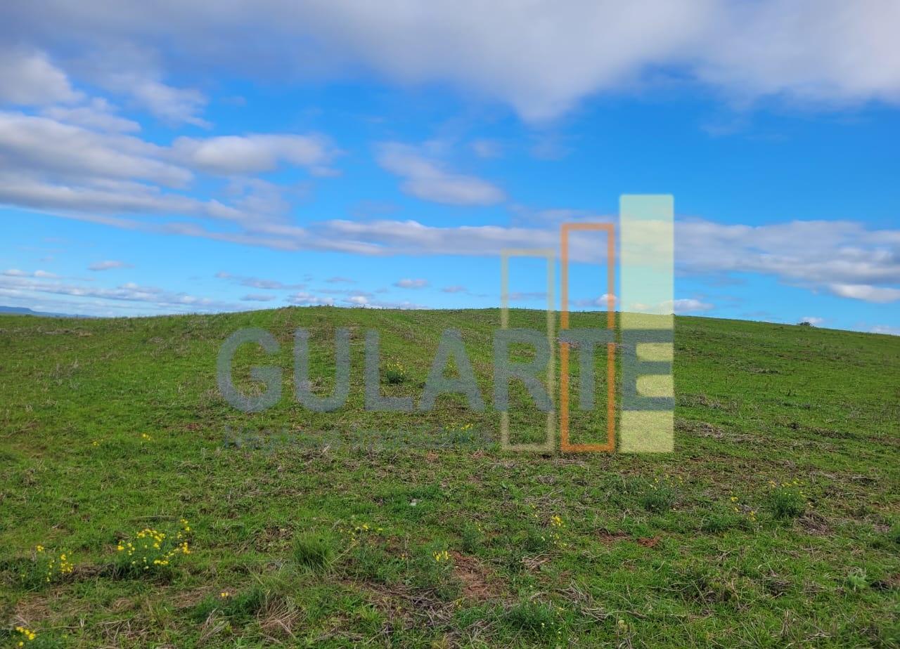 Fazenda, 120 hectares - Foto 2