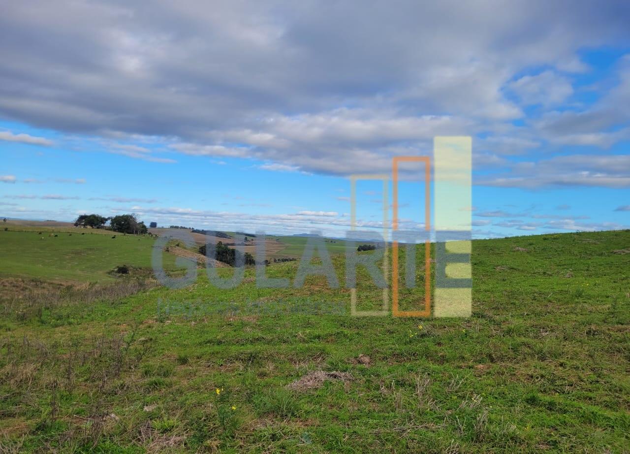 Fazenda, 120 hectares - Foto 1