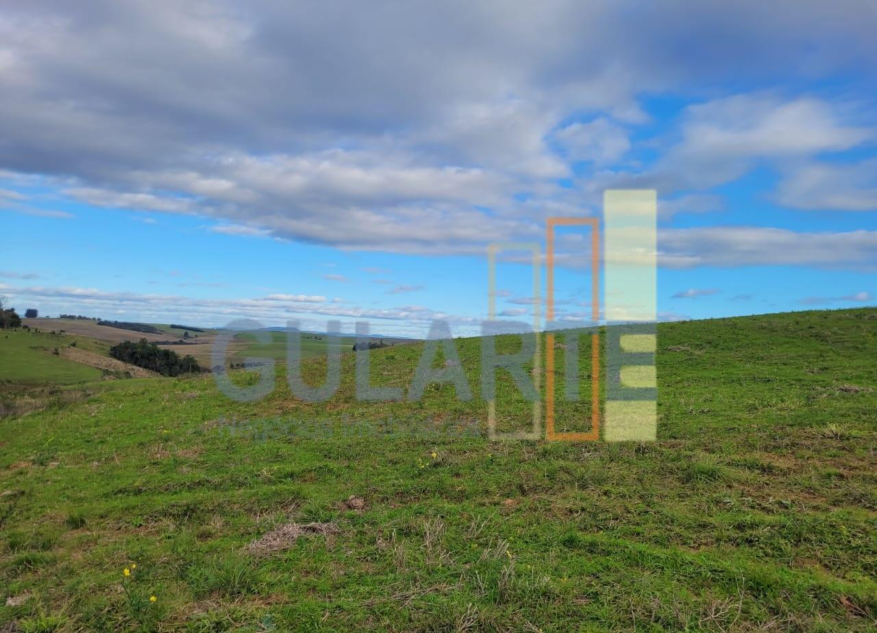 Fazenda, 120 hectares - Foto 3