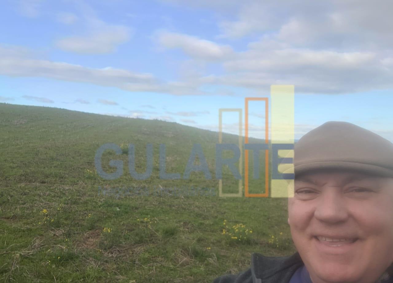 Fazenda, 120 hectares - Foto 9