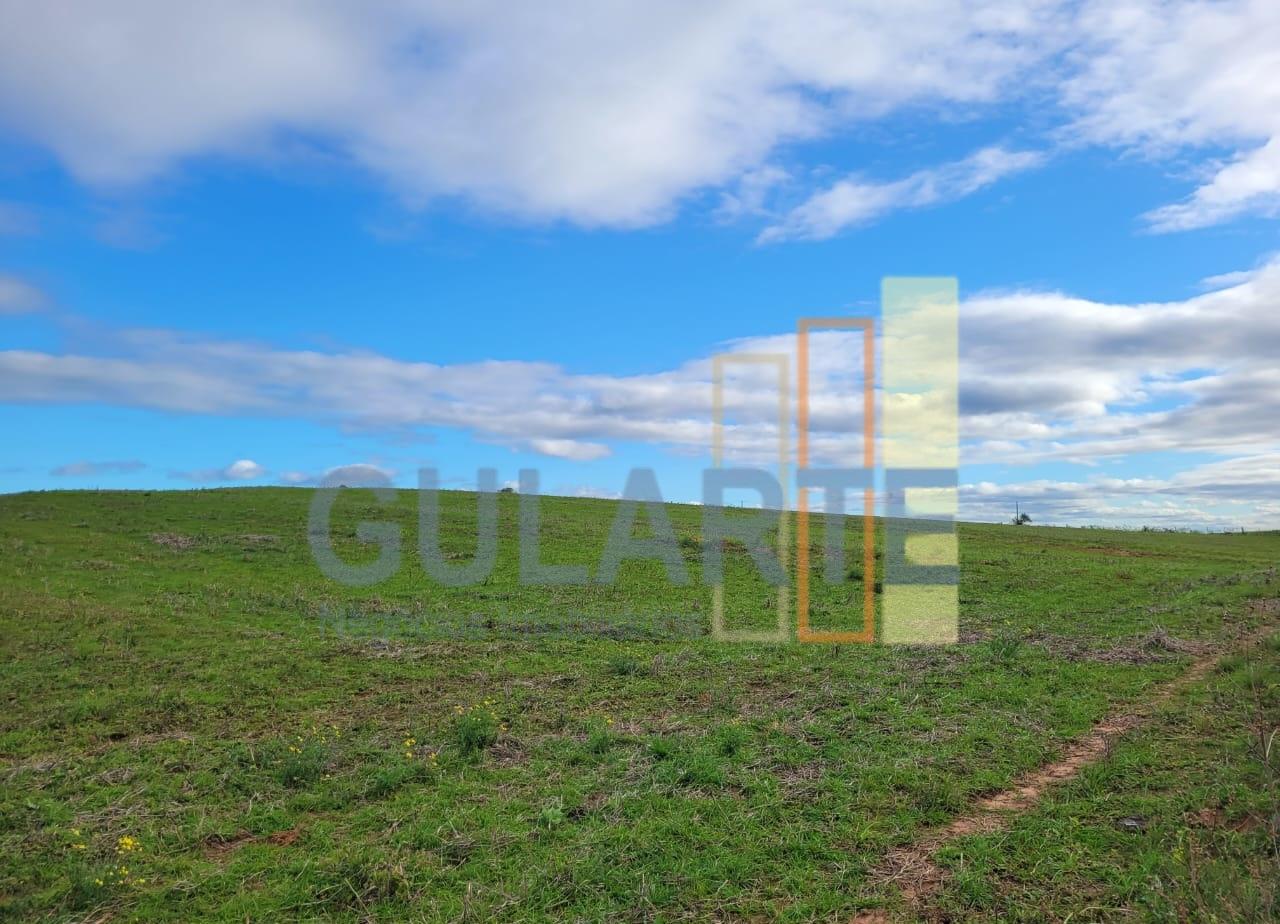 Fazenda, 120 hectares - Foto 6