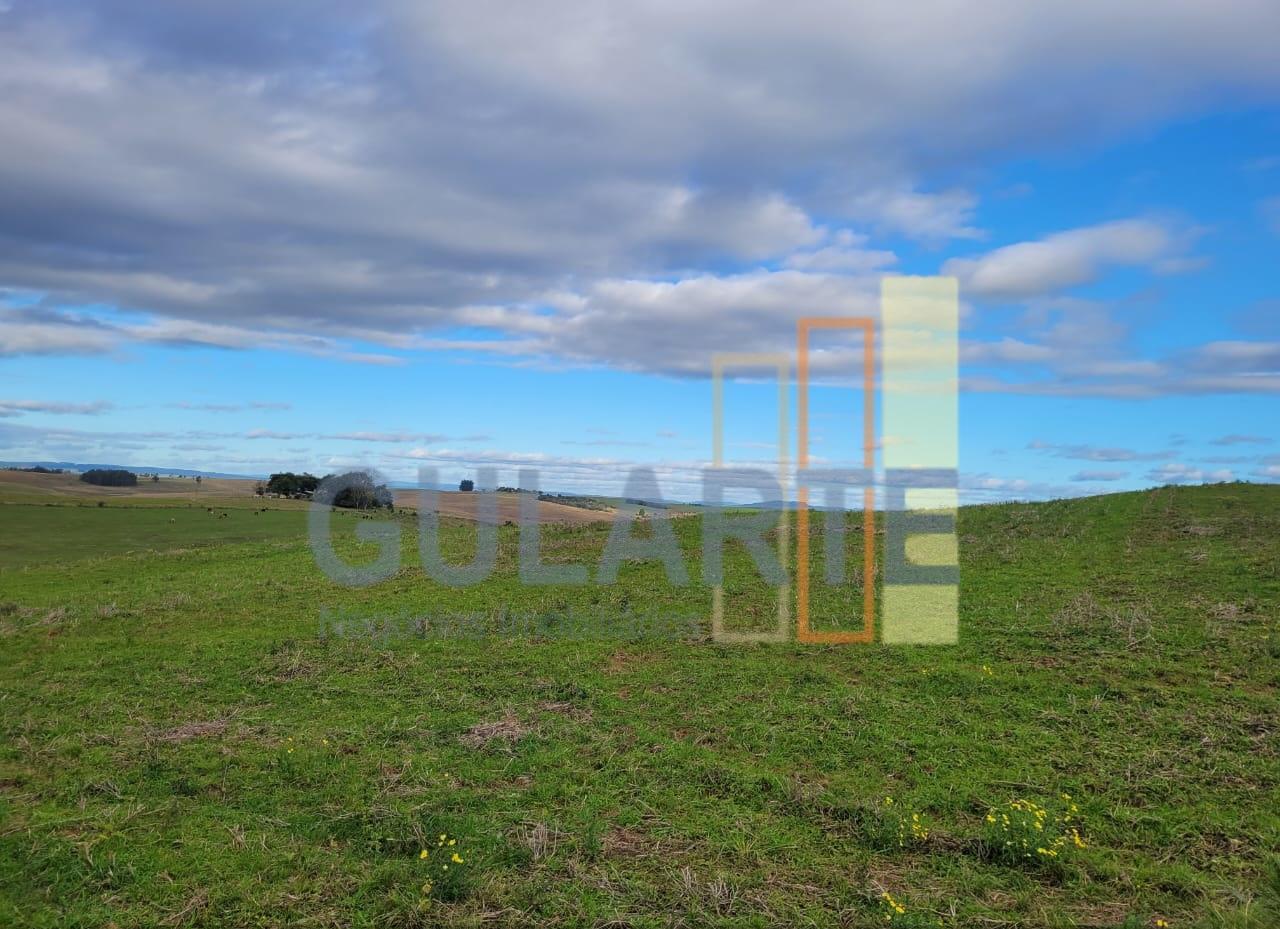 Fazenda, 120 hectares - Foto 4