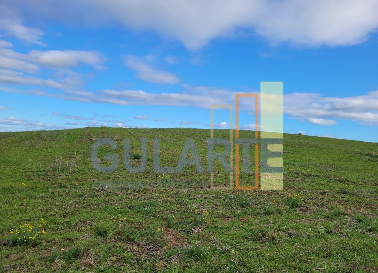 Fazenda, 120 hectares - Foto 5