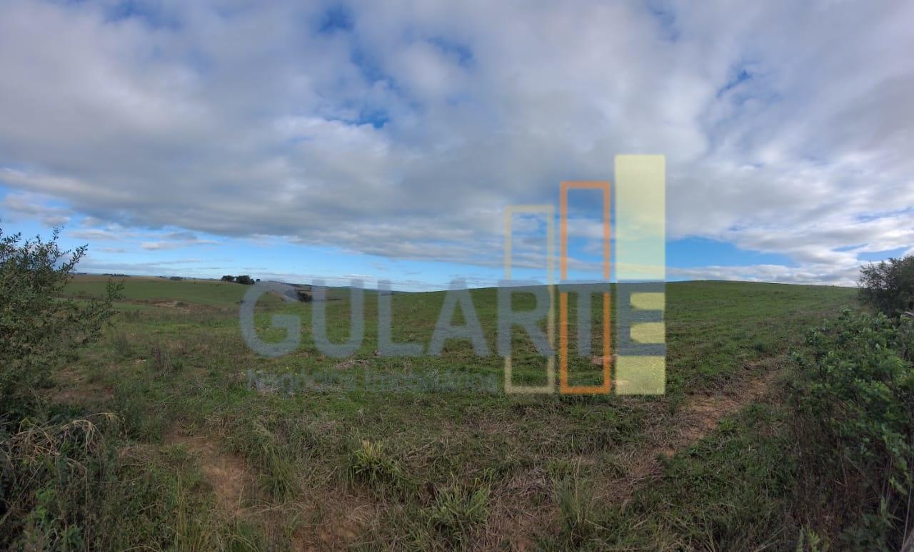 Fazenda, 120 hectares - Foto 8