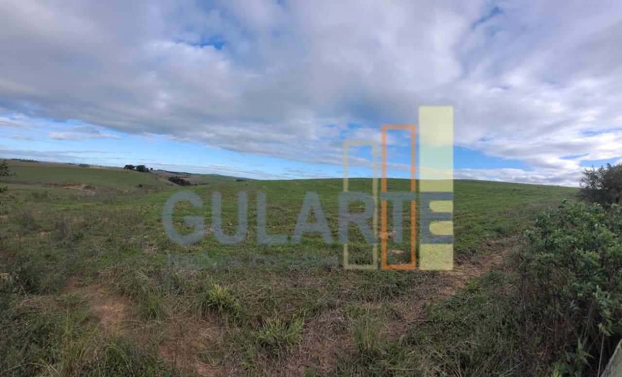 Fazenda, 120 hectares - Foto 7