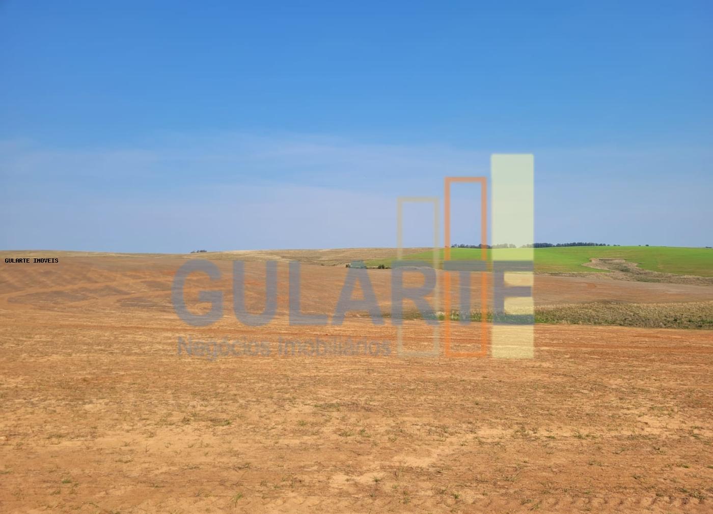 Fazenda, 430 hectares - Foto 1