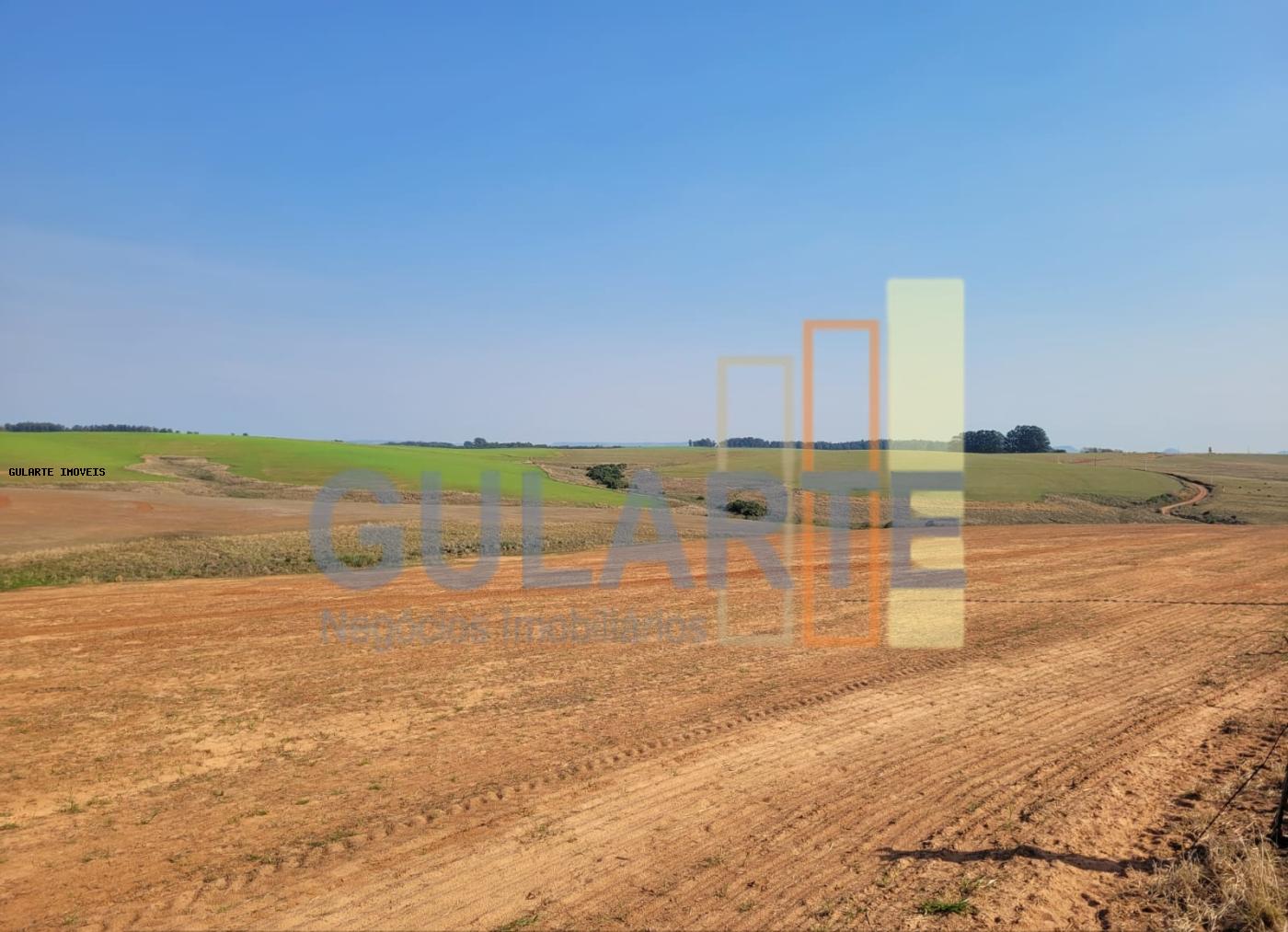 Fazenda, 430 hectares - Foto 3