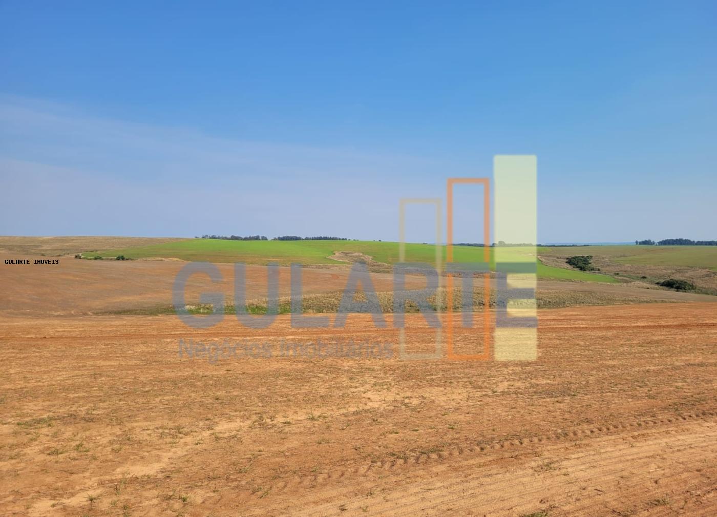 Fazenda, 430 hectares - Foto 4