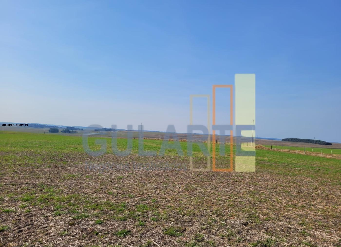 Fazenda, 430 hectares - Foto 5