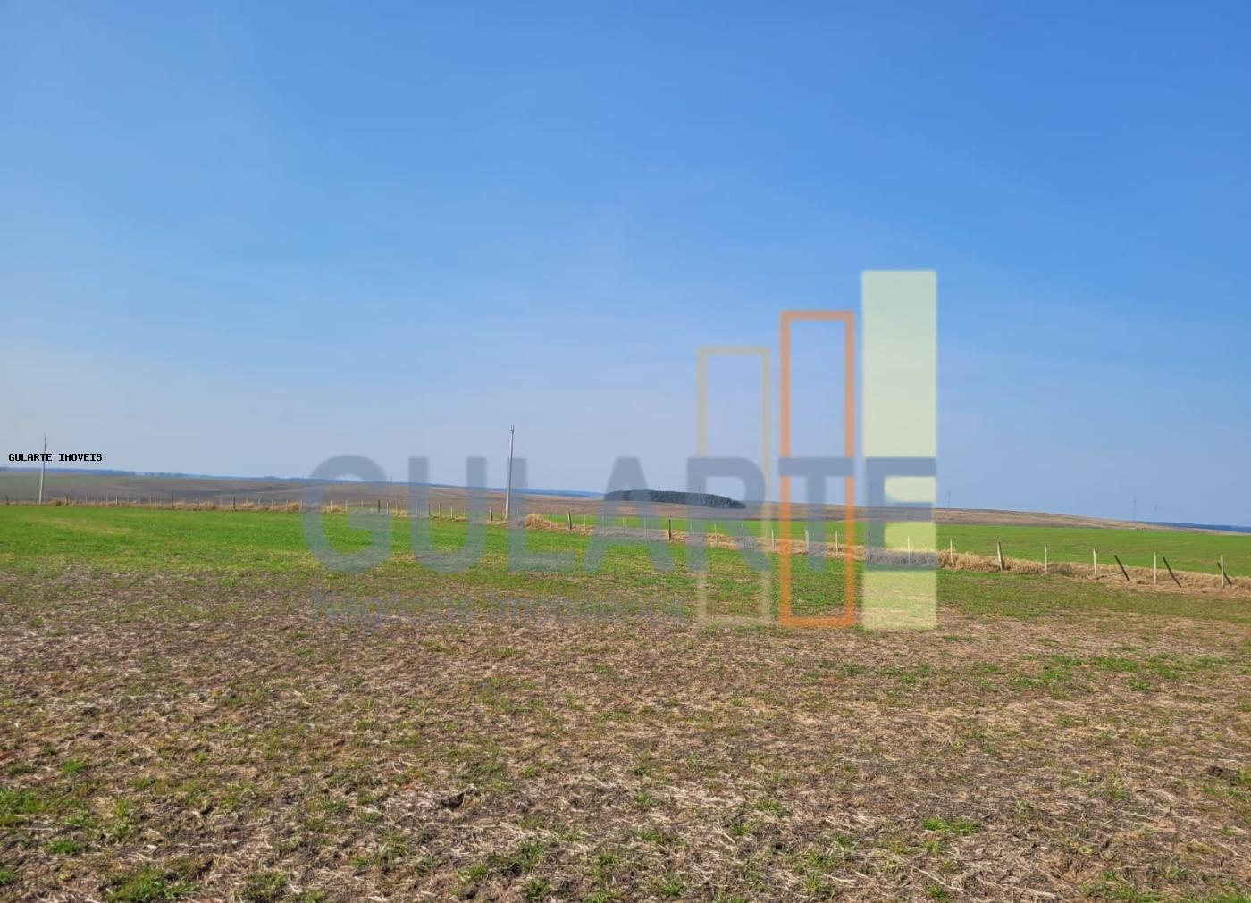 Fazenda, 430 hectares - Foto 6