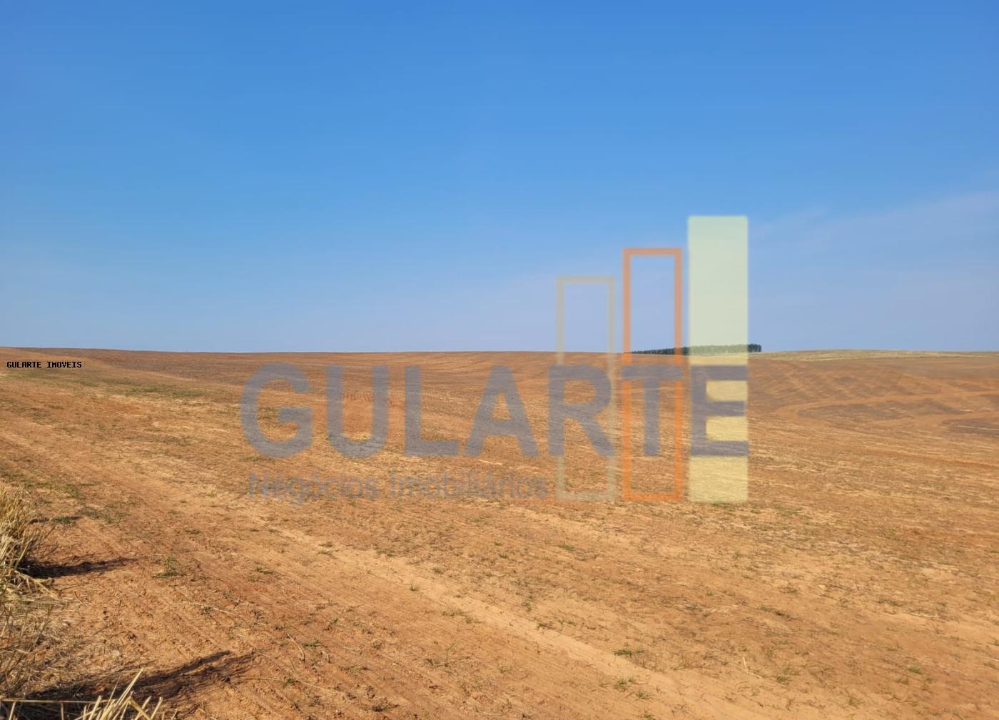 Fazenda, 430 hectares - Foto 7