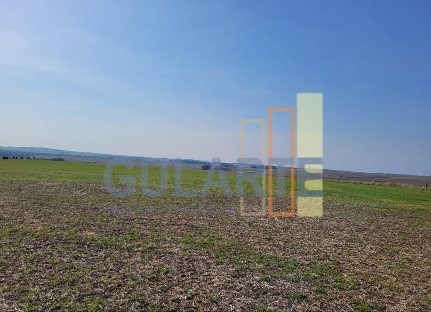 Fazenda, 430 hectares - Foto 11