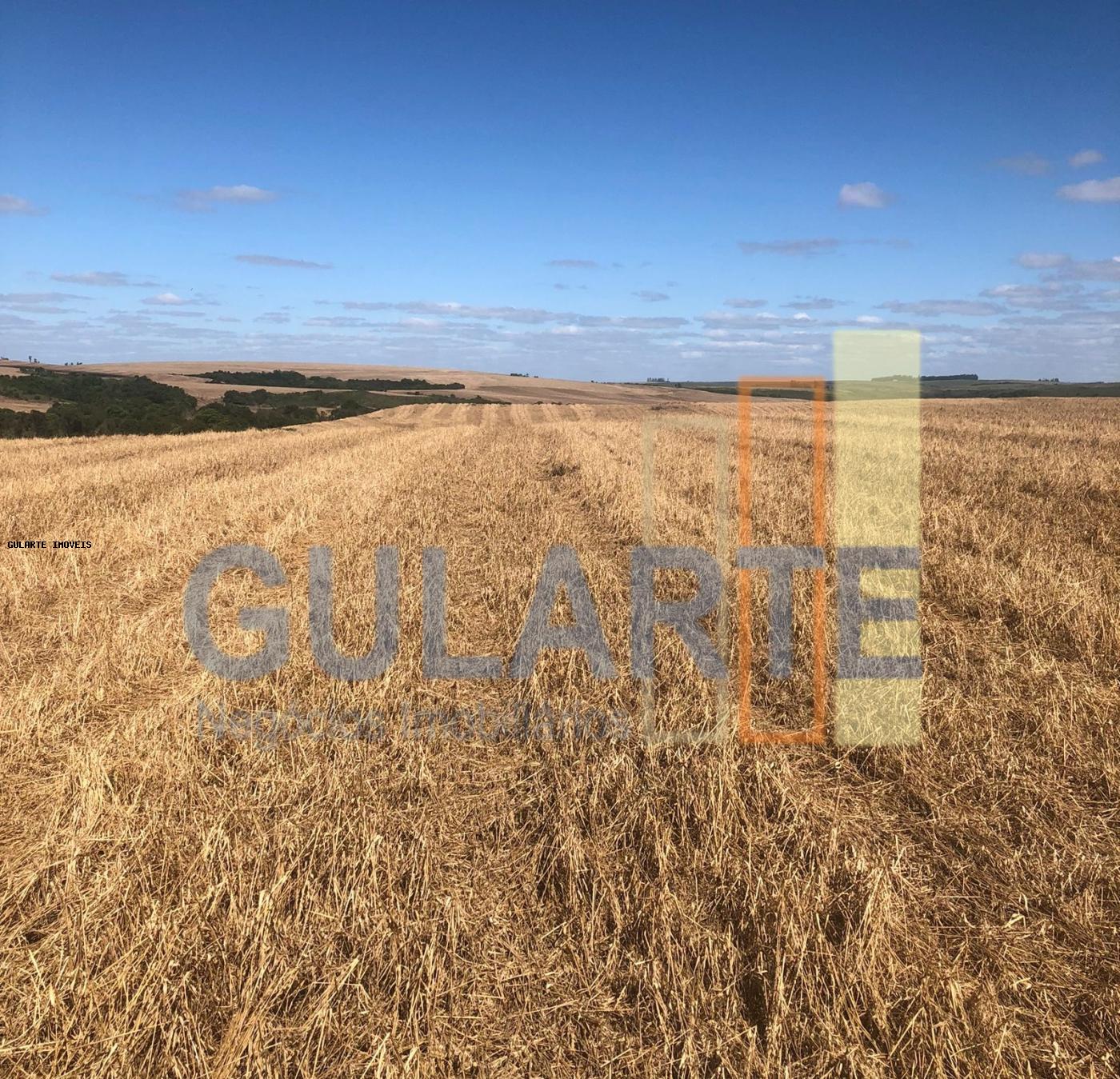 Fazenda à venda, 401m² - Foto 1