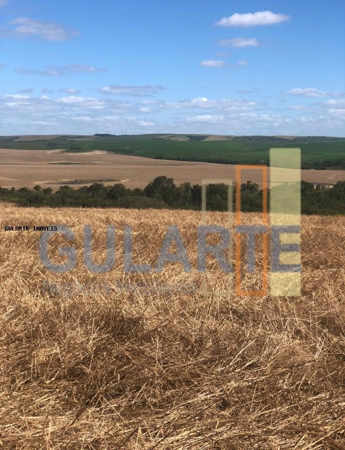 Fazenda à venda, 401m² - Foto 3