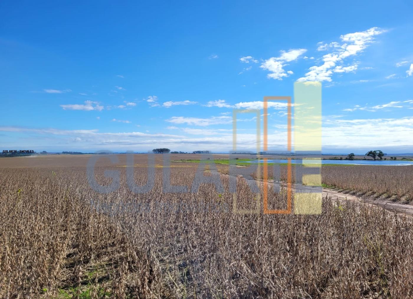 Fazenda à venda, 401m² - Foto 5