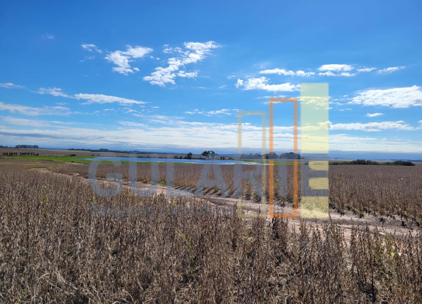 Fazenda à venda, 401m² - Foto 11