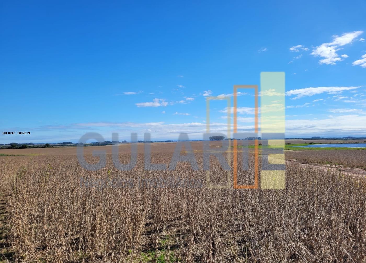Fazenda à venda, 401m² - Foto 12