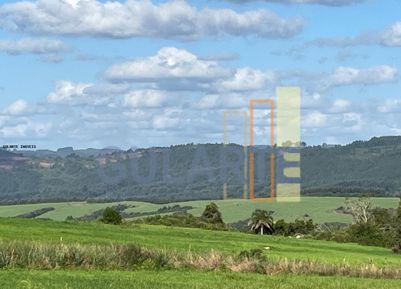 Fazenda, 952 hectares - Foto 4