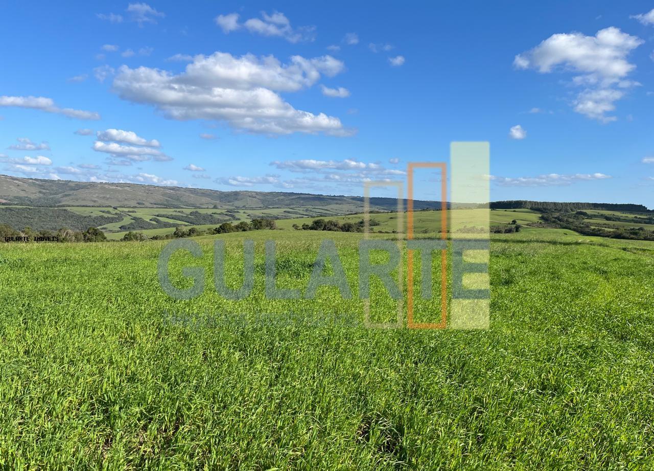 Fazenda, 952 hectares - Foto 6