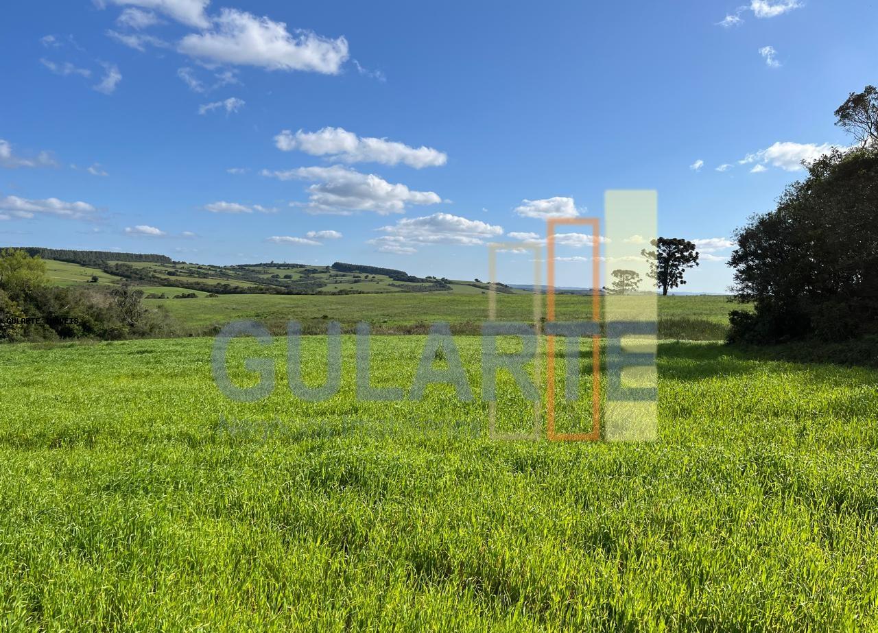 Fazenda, 952 hectares - Foto 5